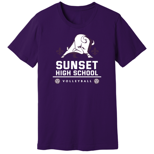 Dallas Sunset Volleyball - Big Bison T-Shirt