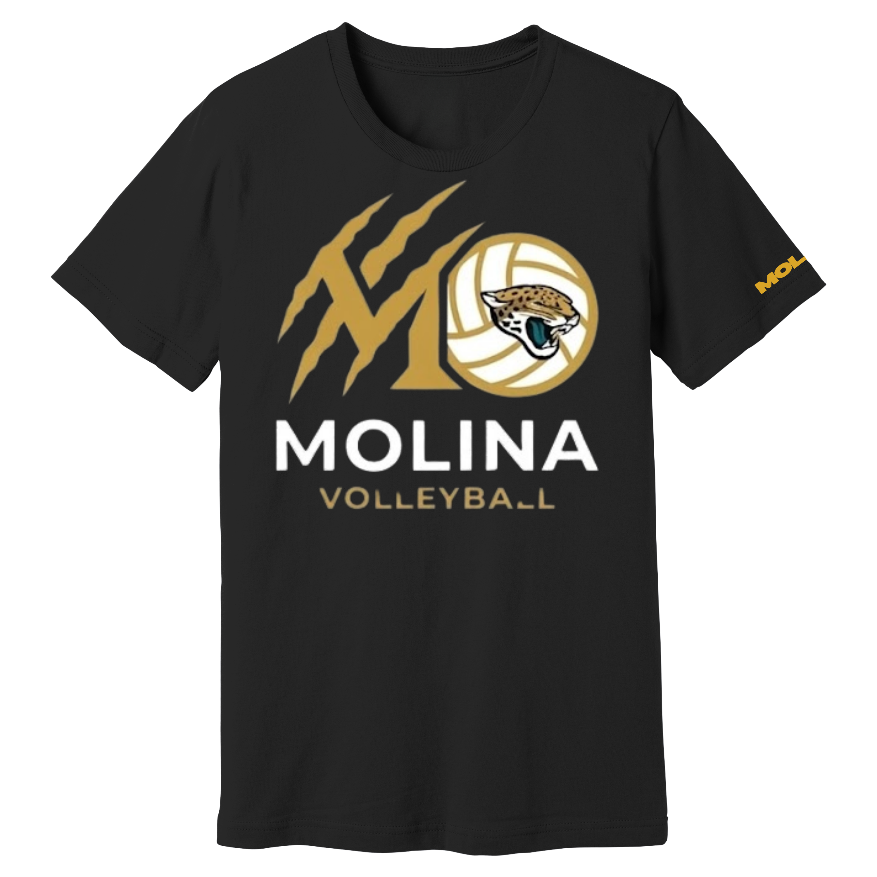 Dallas Molina Volleyball - Golden Spike Tee