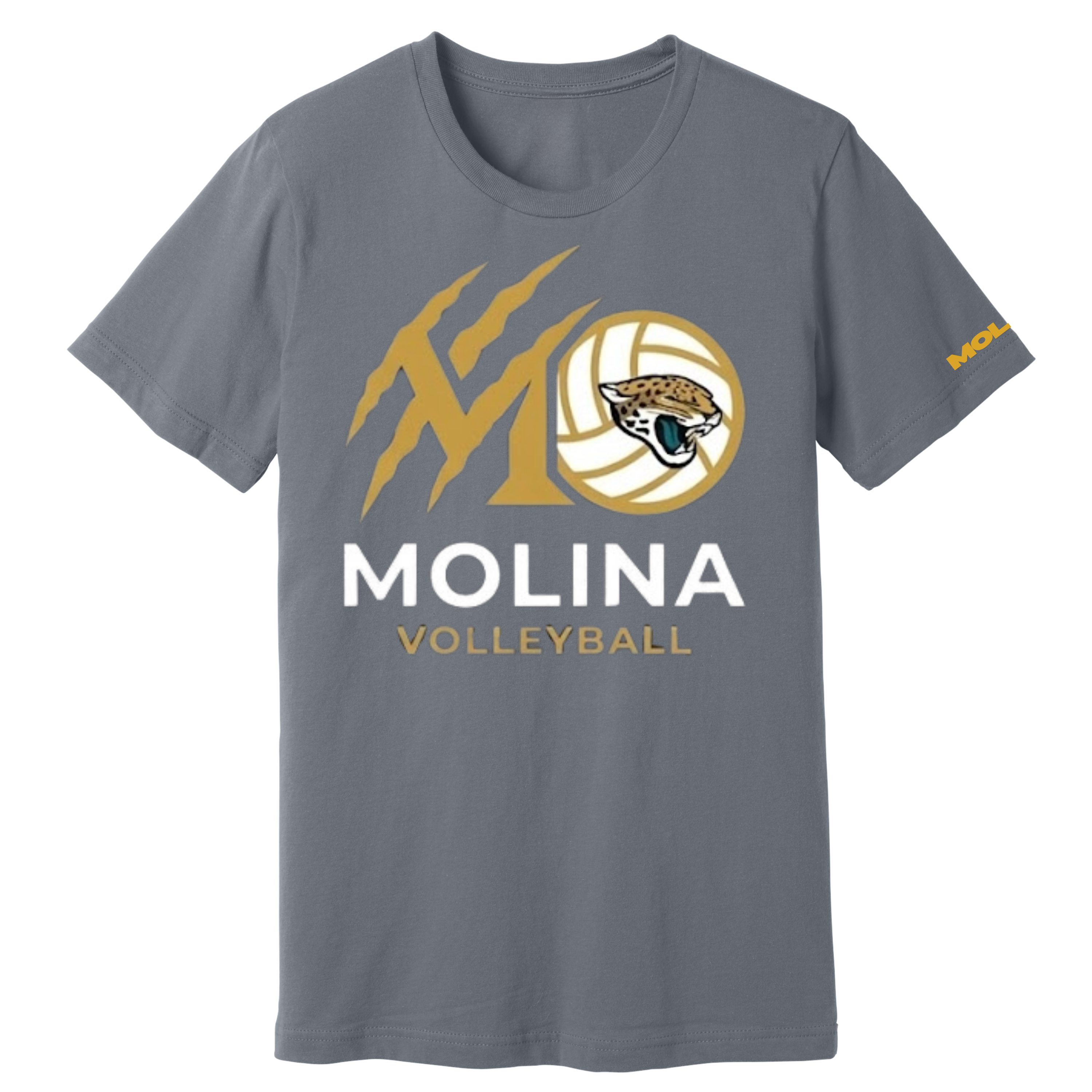 Dallas Molina Volleyball - Golden Spike Tee