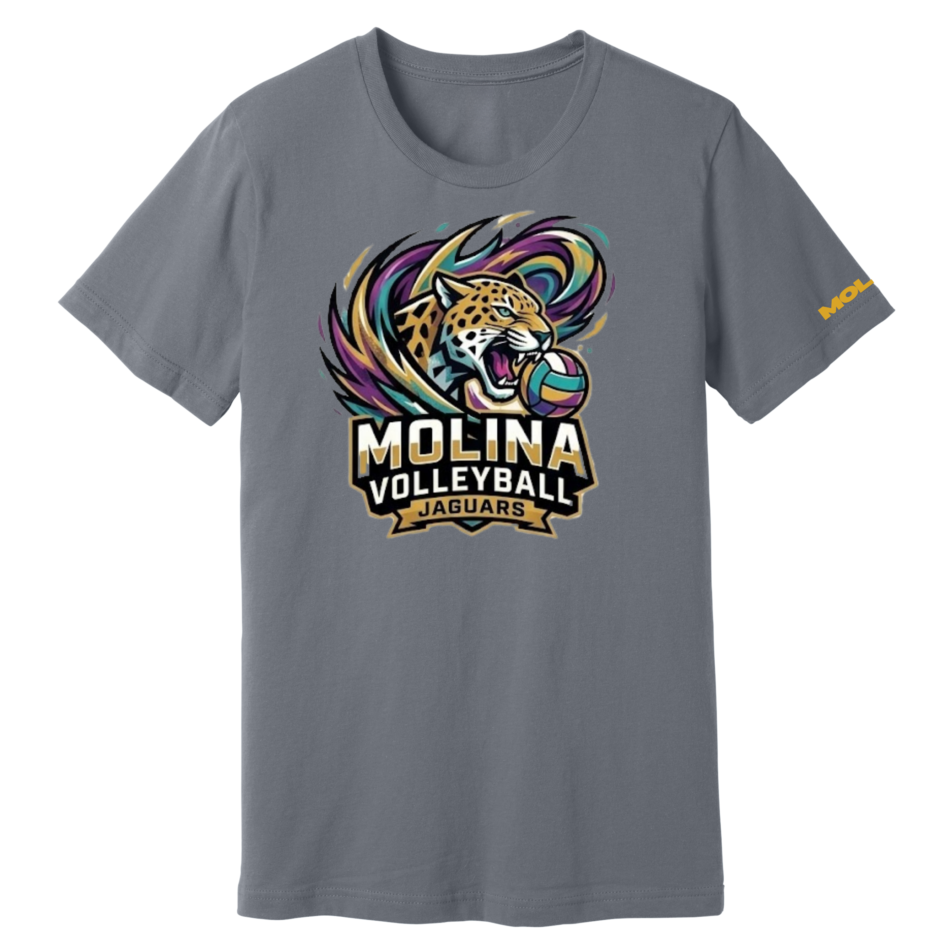 Dallas Molina Volleyball - Storm Tee